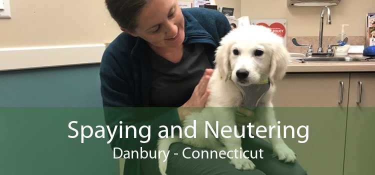 Spaying and Neutering Danbury - Connecticut