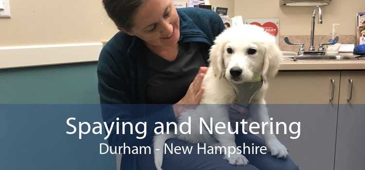 Spaying and Neutering Durham - New Hampshire