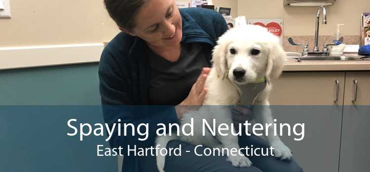 Spaying and Neutering East Hartford - Connecticut