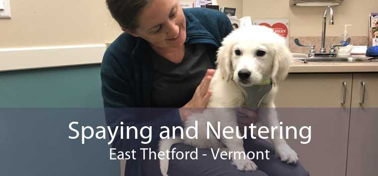 Spaying and Neutering East Thetford - Vermont
