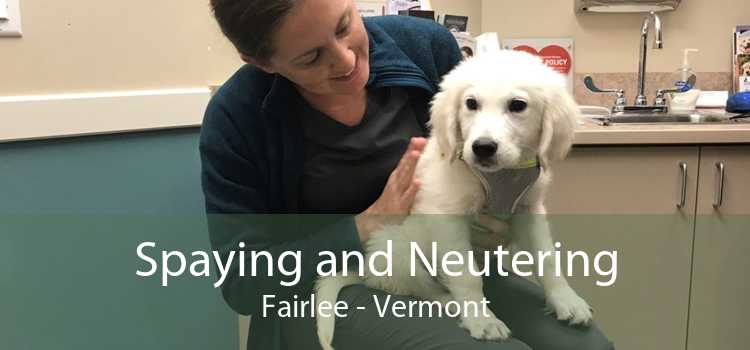 Spaying and Neutering Fairlee - Vermont