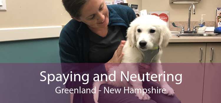 Spaying and Neutering Greenland - New Hampshire