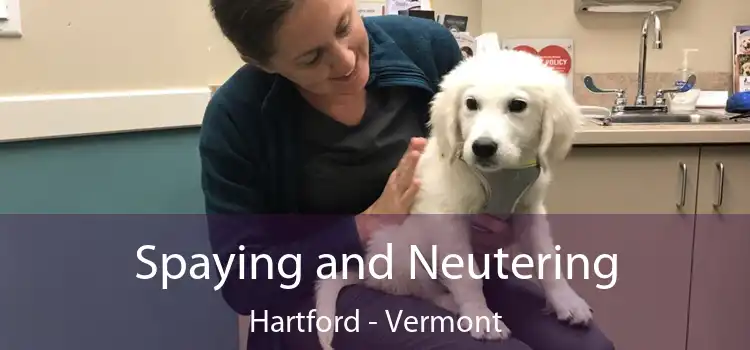 Spaying and Neutering Hartford - Vermont