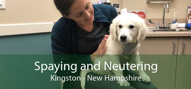Spaying and Neutering Kingston - New Hampshire
