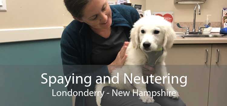 Spaying and Neutering Londonderry - New Hampshire