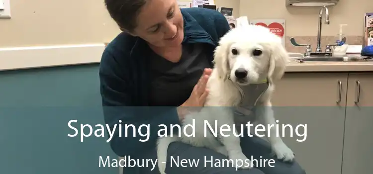 Spaying and Neutering Madbury - New Hampshire