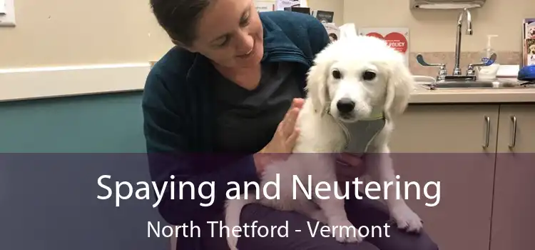Spaying and Neutering North Thetford - Vermont