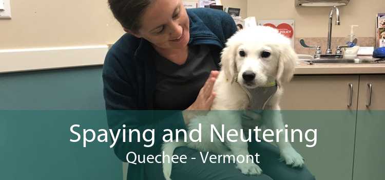Spaying and Neutering Quechee - Vermont
