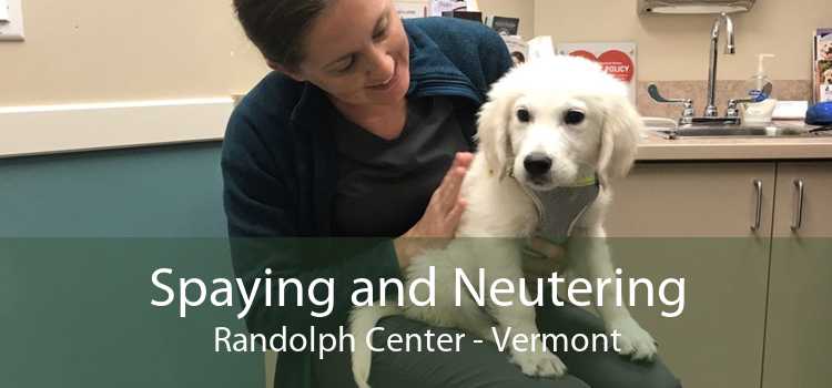 Spaying and Neutering Randolph Center - Vermont