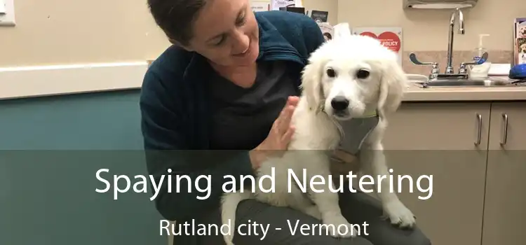 Spaying and Neutering Rutland city - Vermont