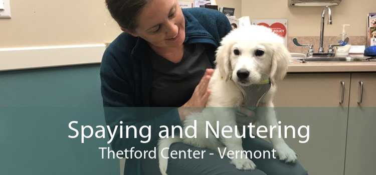Spaying and Neutering Thetford Center - Vermont