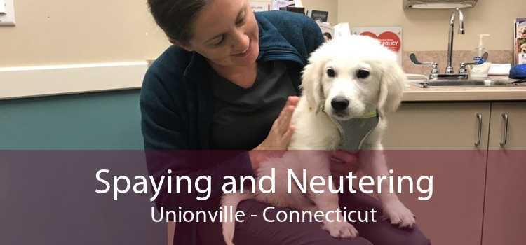 Spaying and Neutering Unionville - Connecticut