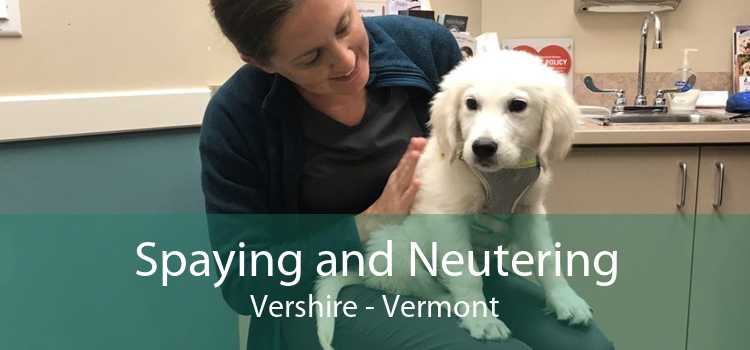 Spaying and Neutering Vershire - Vermont