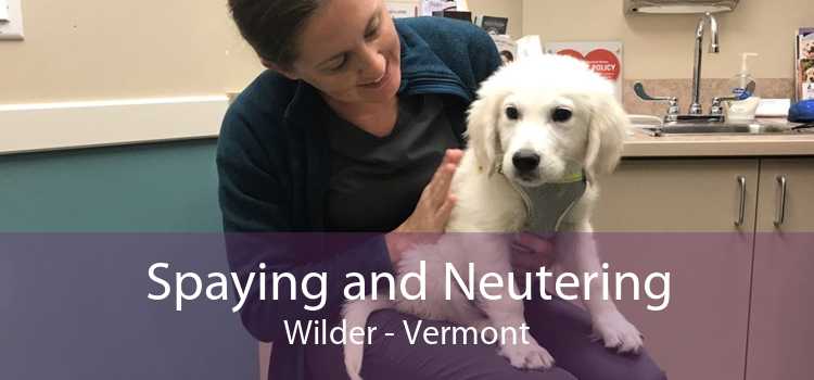 Spaying and Neutering Wilder - Vermont