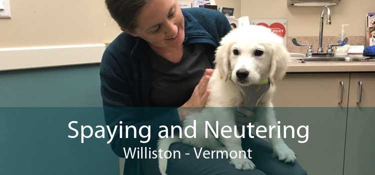 Spaying and Neutering Williston - Vermont