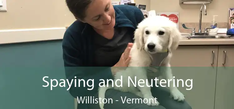 Spaying and Neutering Williston - Vermont