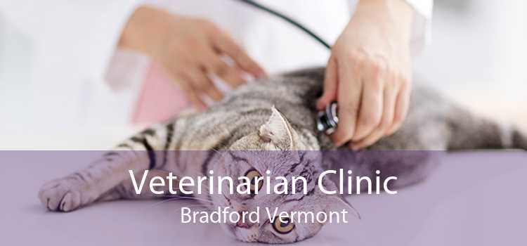 Veterinarian Clinic Bradford Vermont