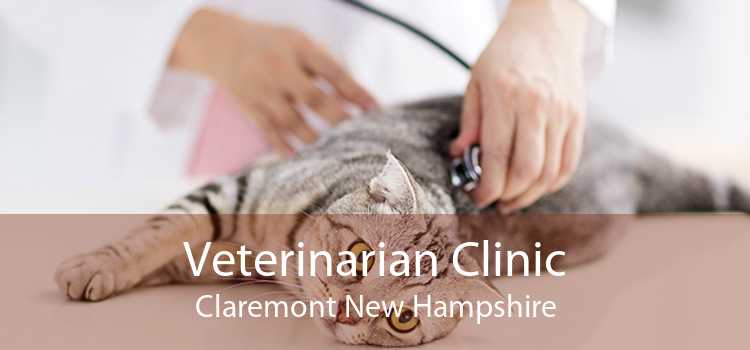 Veterinarian Clinic Claremont New Hampshire