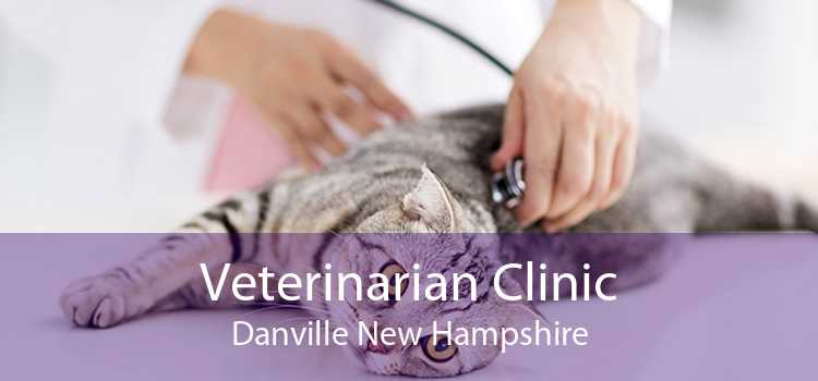 Veterinarian Clinic Danville New Hampshire