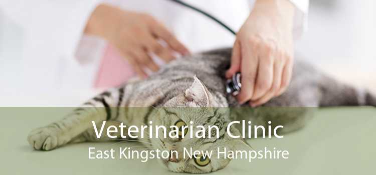 Veterinarian Clinic East Kingston New Hampshire