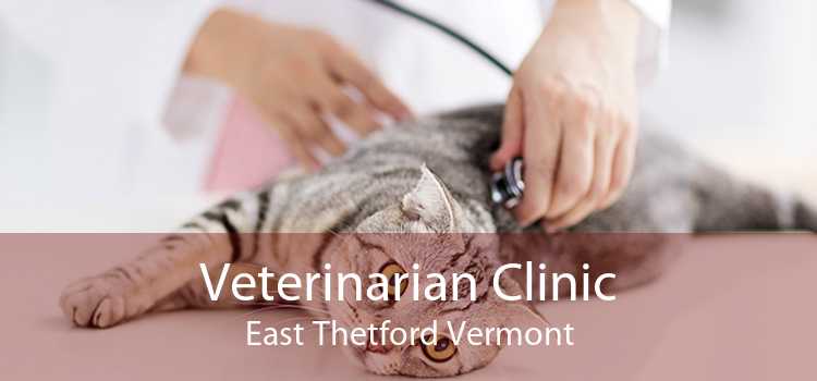 Veterinarian Clinic East Thetford Vermont