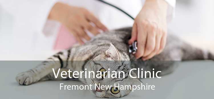 Veterinarian Clinic Fremont New Hampshire