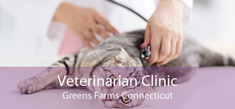 Veterinarian Clinic Greens Farms Connecticut