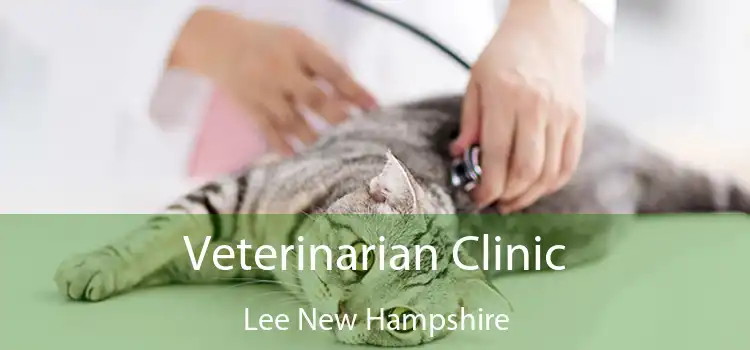 Veterinarian Clinic Lee New Hampshire