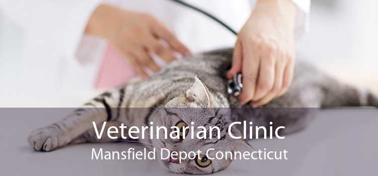 Veterinarian Clinic Mansfield Depot Connecticut