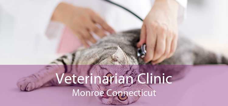Veterinarian Clinic Monroe Connecticut