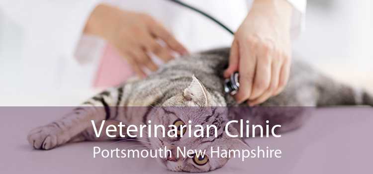 Veterinarian Clinic Portsmouth New Hampshire