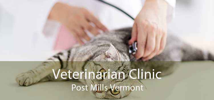 Veterinarian Clinic Post Mills Vermont