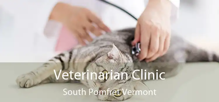 Veterinarian Clinic South Pomfret Vermont