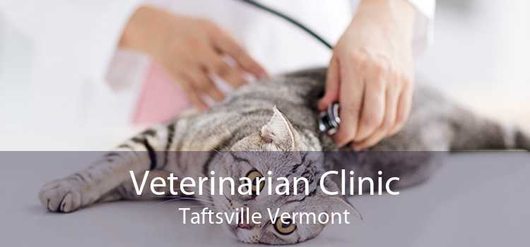 Veterinarian Clinic Taftsville Vermont