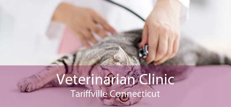 Veterinarian Clinic Tariffville Connecticut