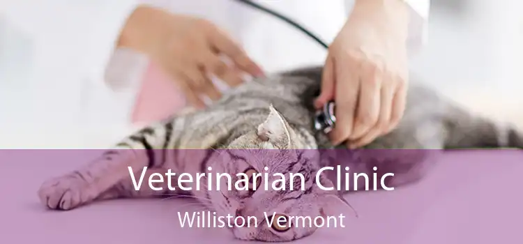 Veterinarian Clinic Williston Vermont