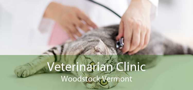 Veterinarian Clinic Woodstock Vermont